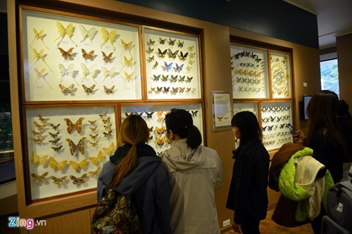 Посещение первого музея природы во Вьетнаме - ảnh 3